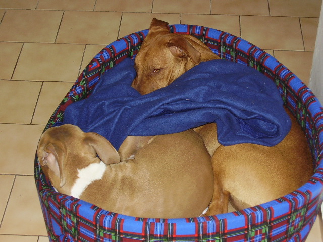 p006.JPG